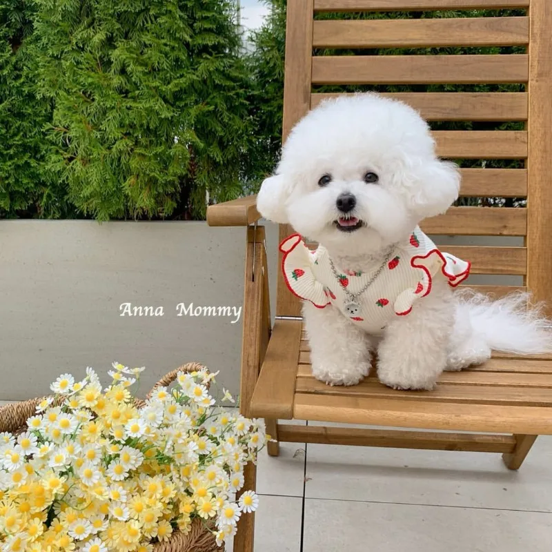 Cute Lace Pet Dog Clothing Breathable Flying Sleeve Strawberry Puppy Vest Teddy Bichon Schnauzer poodle For Small Dog Clothes