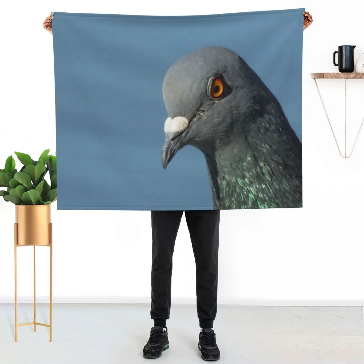 Pigeon Close Up Photography Throw Blanket Luxury Brand Hair Sofas Bed Fashionable Decorative Sofa sofa bed Blankets