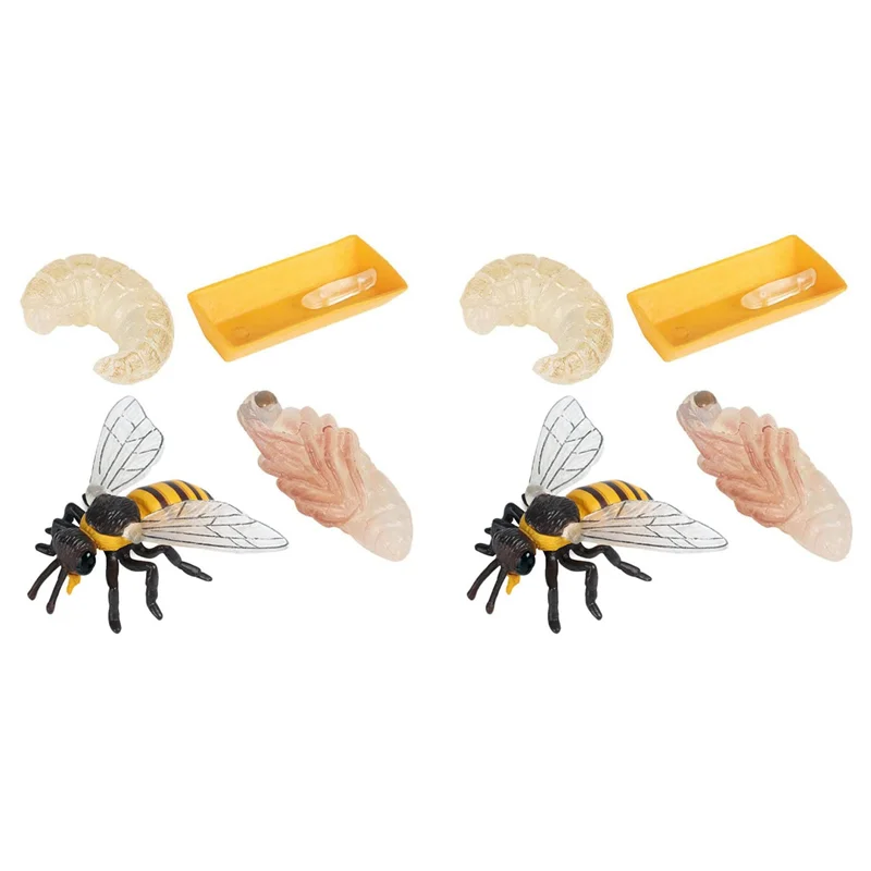 

CYGJ-Pack Of 8 Insect Figurines Life Cycle Of Honey Bee Realistic Insects Figures Educational Science Model
