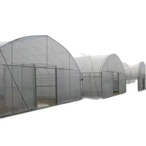 

2025 Одноструктурная теплица для посадки овощей с утолщенными трубами из оцинкованной стали Hot-Dp для индивидуальных блоков.