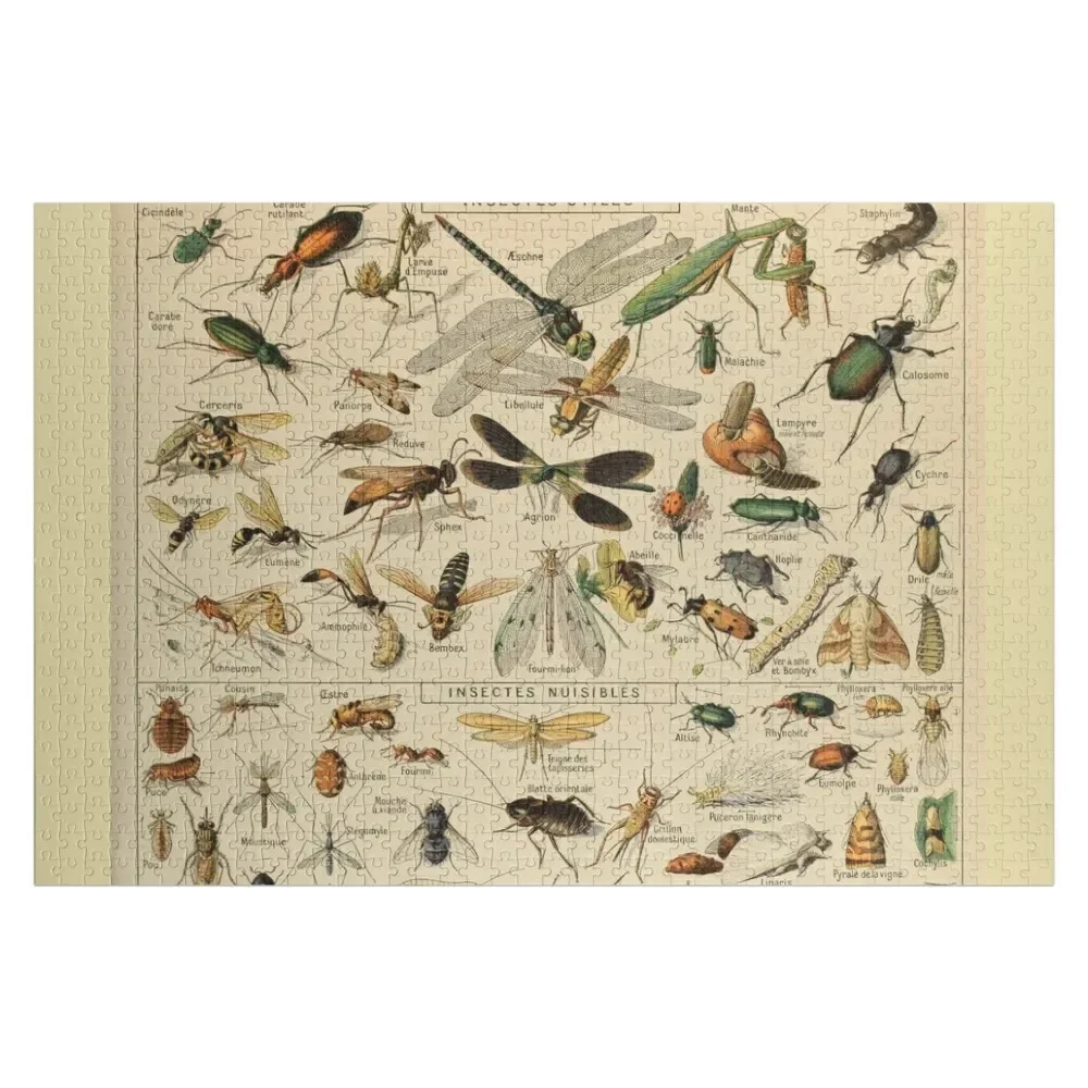 

Adolphe Millot Insectes Jigsaw Puzzle Customizeds For Kids Woods For Adults Puzzle