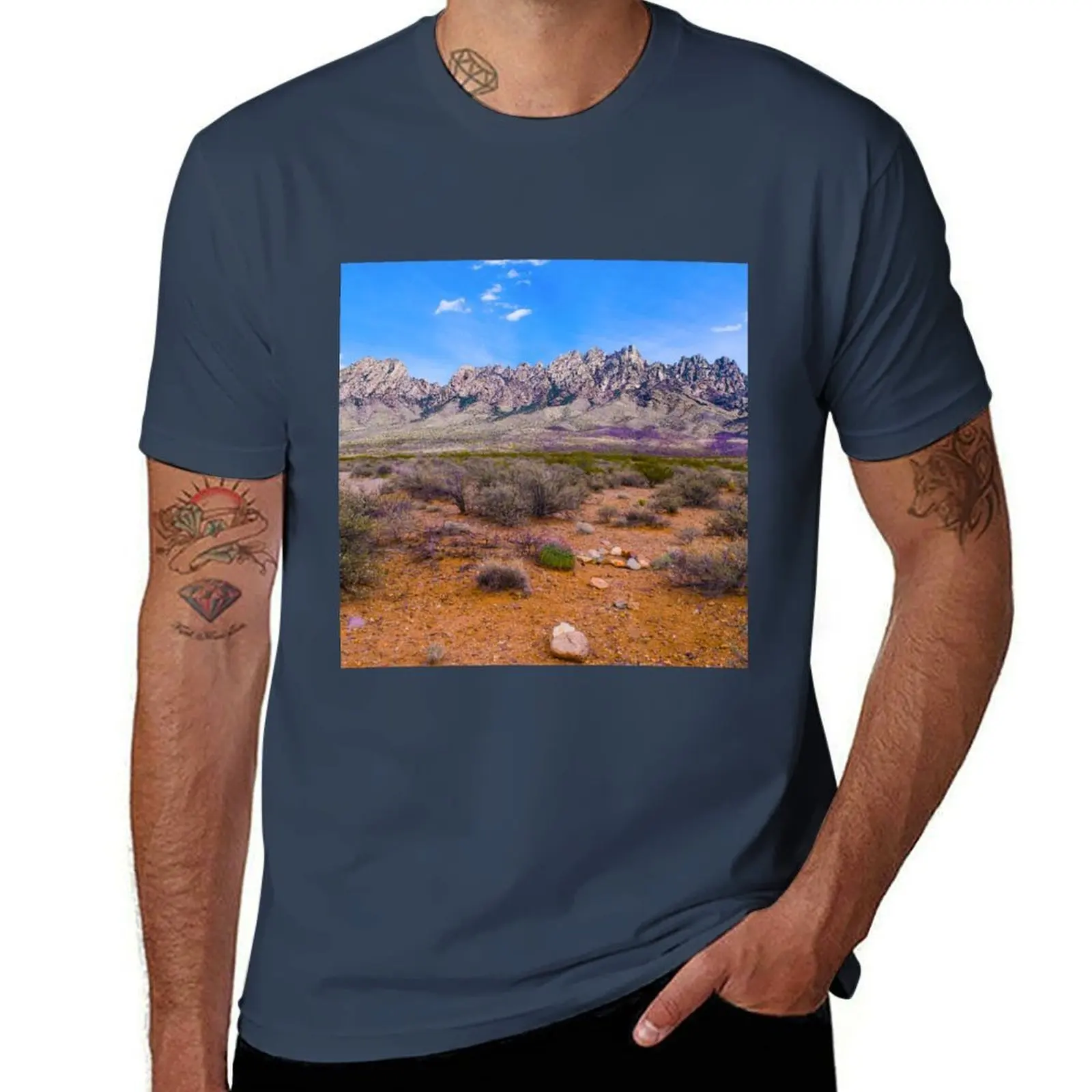 Organ Mountains, La…