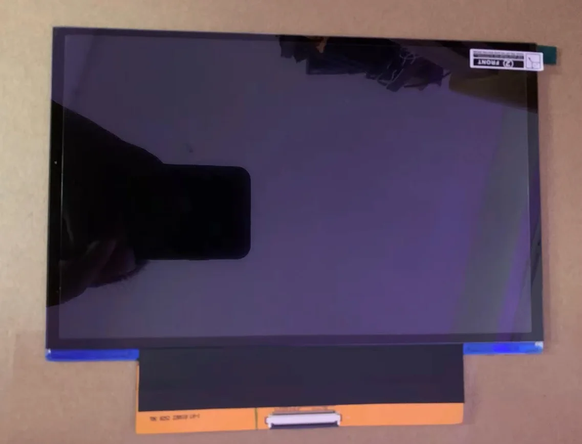 9.1 Inch 4K Monochr… - image