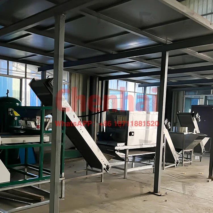 Fully Automatic Garlic Processing Line Garlic Clove Separator Machine Garlic Cleaning Machine