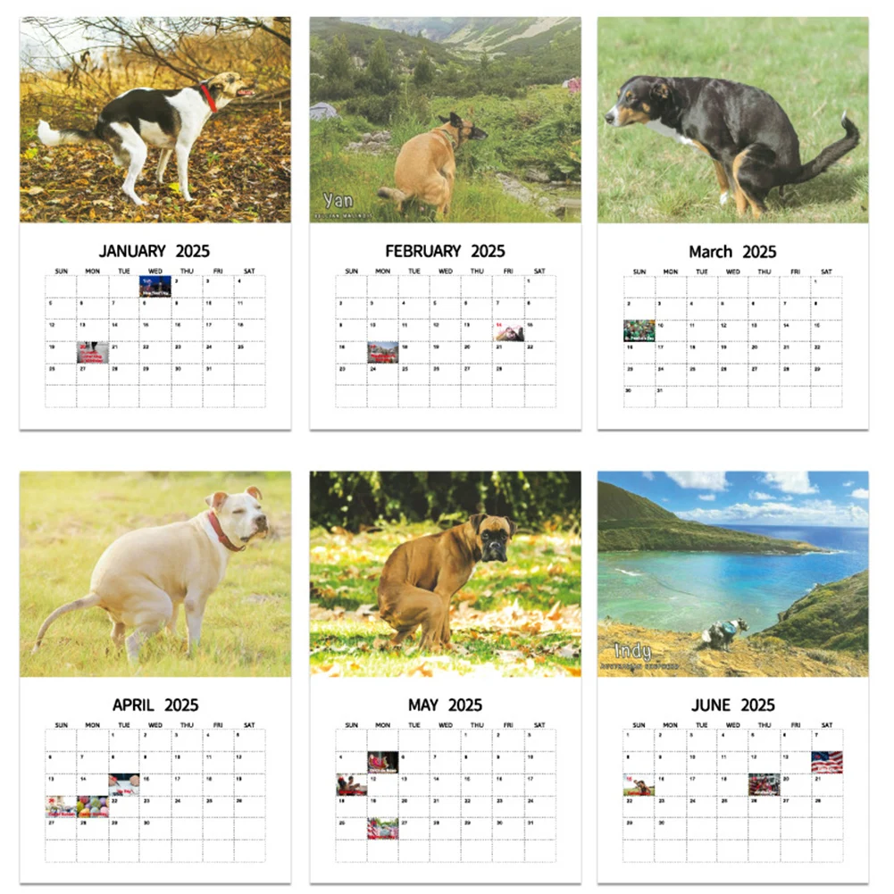 Calendrier de bureau pour la maison et le bureau, les chiens font caca dans de beaux endroits, licence mensuelle 2025, calendrier de 12 mois, licence 03