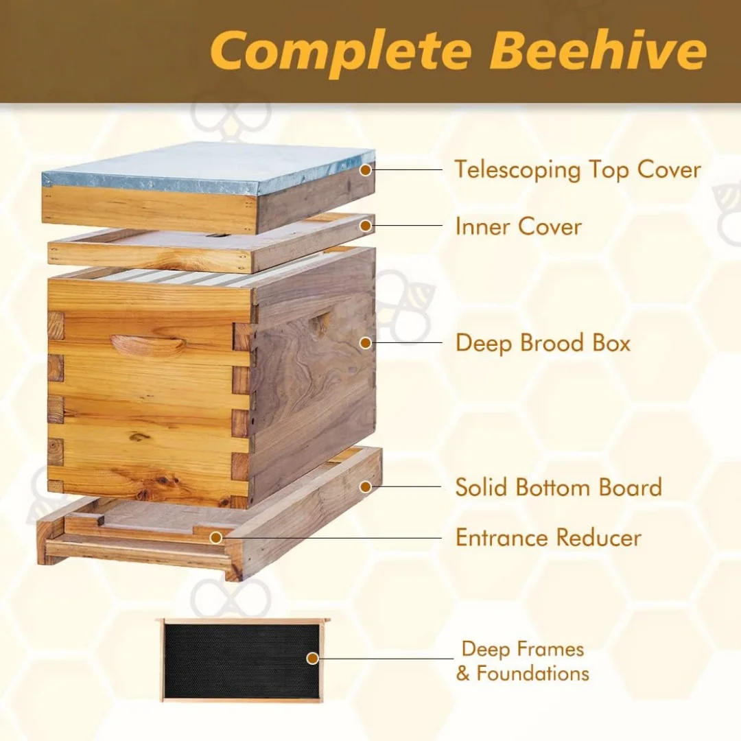 養蜂用5フレーム核巣箱、完全な核巣箱キット、100%蜜蝋で浸 - Beehive Frame Wax のレビューと価格