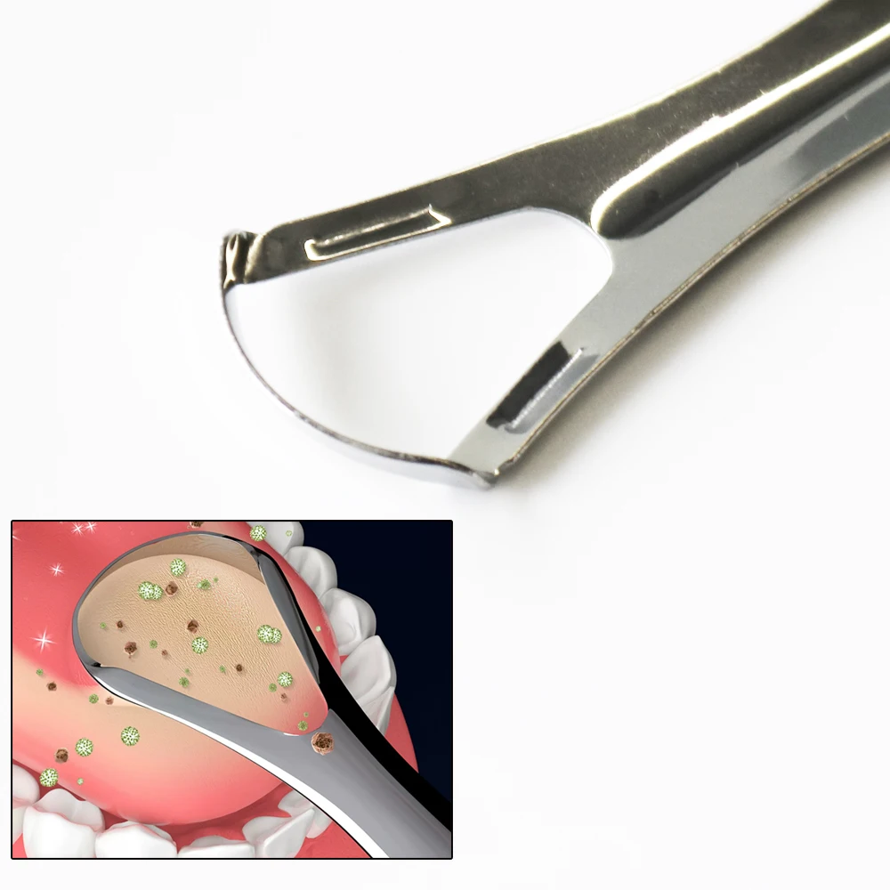 

3pcs/box and 1pcs Stainless Steel Tongue Scraper
