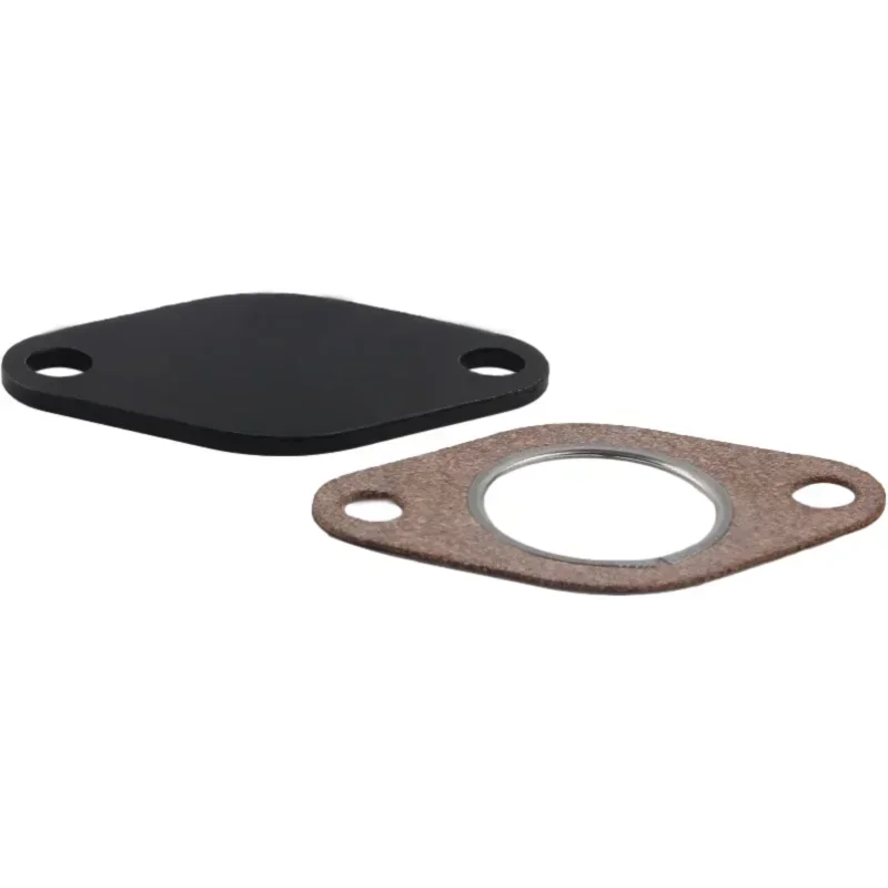 Auto For VW 1.9 TDI 100/130/160 BHP Diesel Valve Delate Gasket Blanking Plate