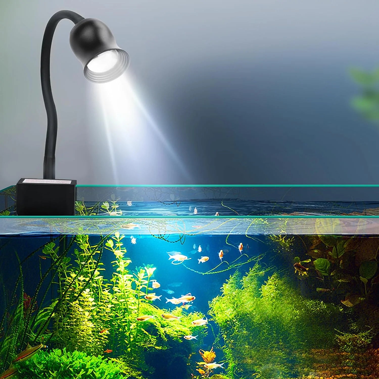 Aquarium Plant Grow Light - Luz LED para Aquário, Decoração de