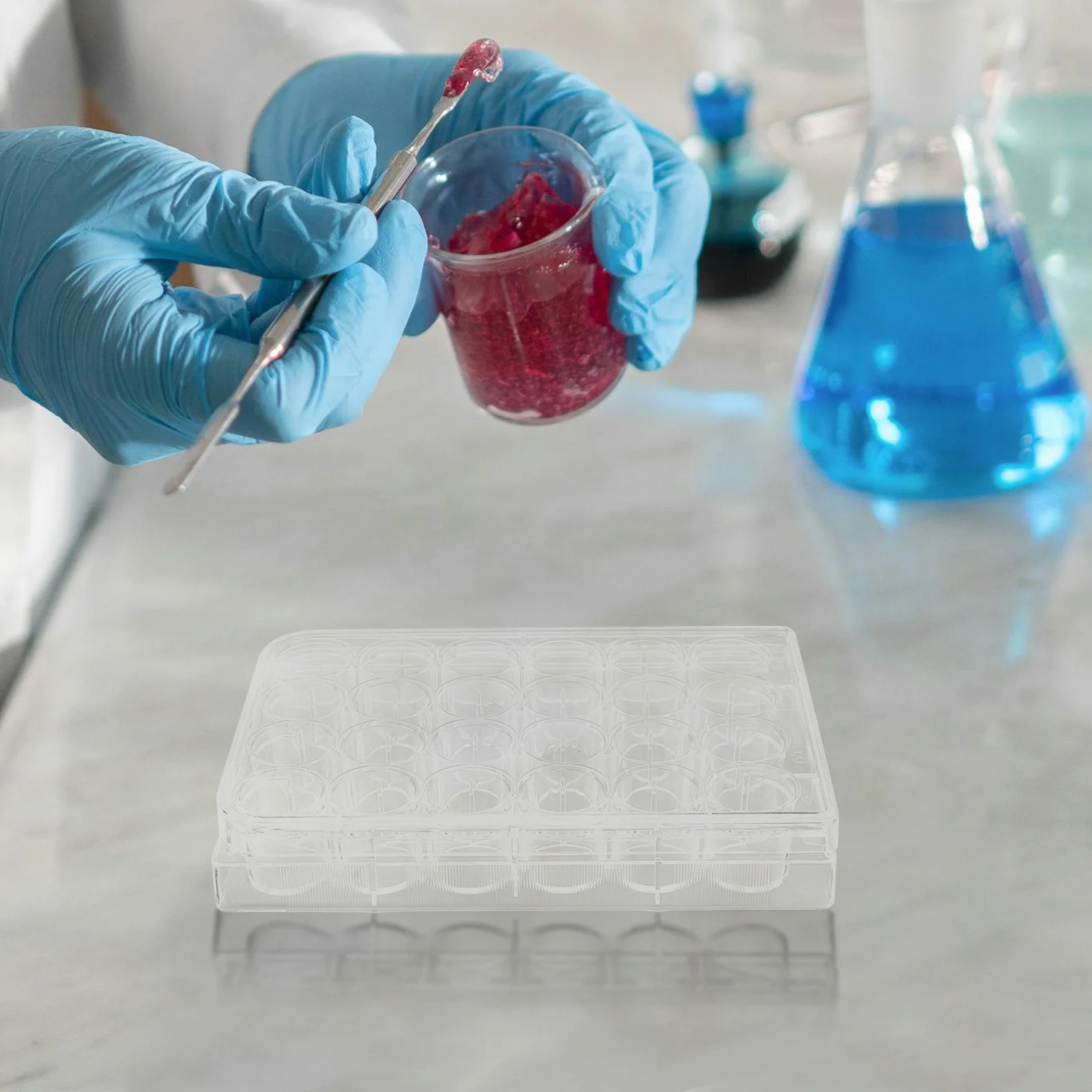 

2Pcs Cell Culture Plates Plastic Petri Dish Reliable Precision for Scientific Research Lab Use Tissue Culture Cell Growth