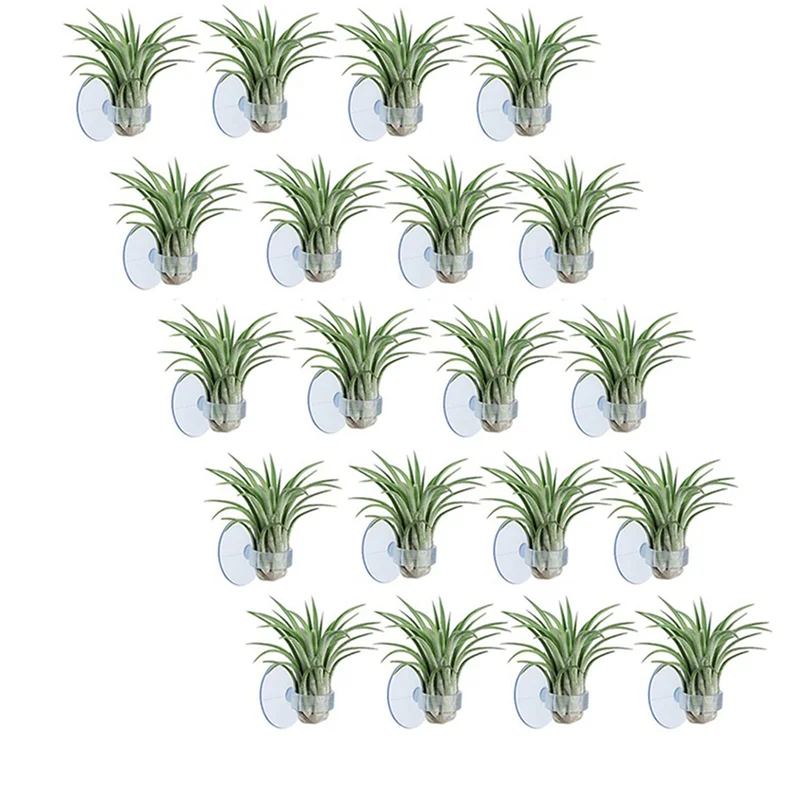 Soporte para clavel de aire B50C, soporte para maceta de Tillandsia, colgador para plantas de aire con ventosa para colgar (plantas no incluidas), 80 Uds.