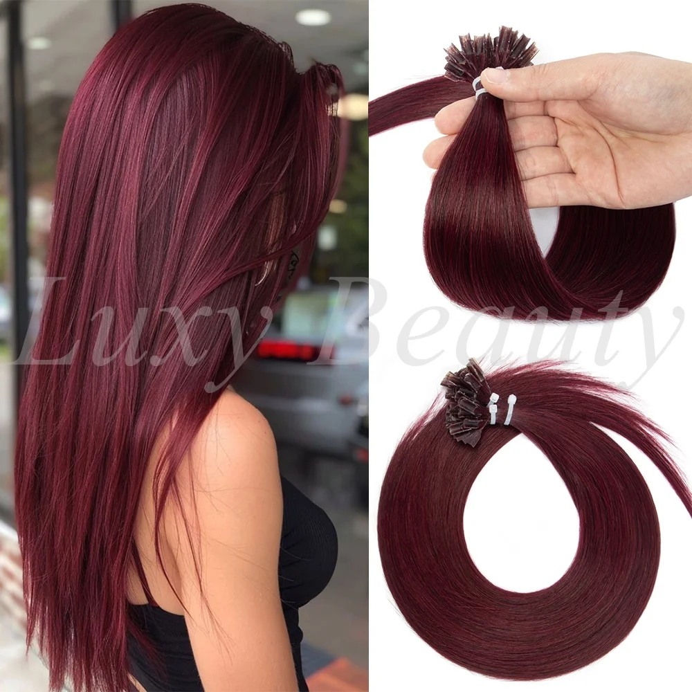 Natural Burgundy U Tip Hair Extensions Human Hair Keratin Nail Tip Hot Fusion Hair Extension for Women 99J Pre Bonded Hair 50pcs