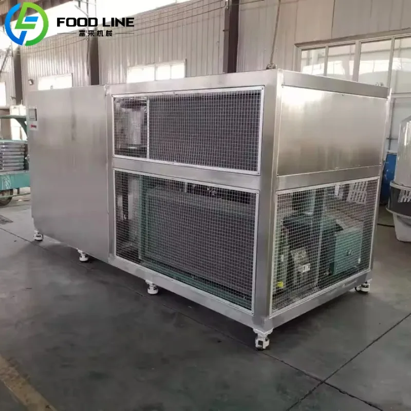 Freeze Drying Equipment Industrial Food Dryer Commercial Freeze Dryer Large Tray Dryer for Bulk Vegetable Preservation Custom
