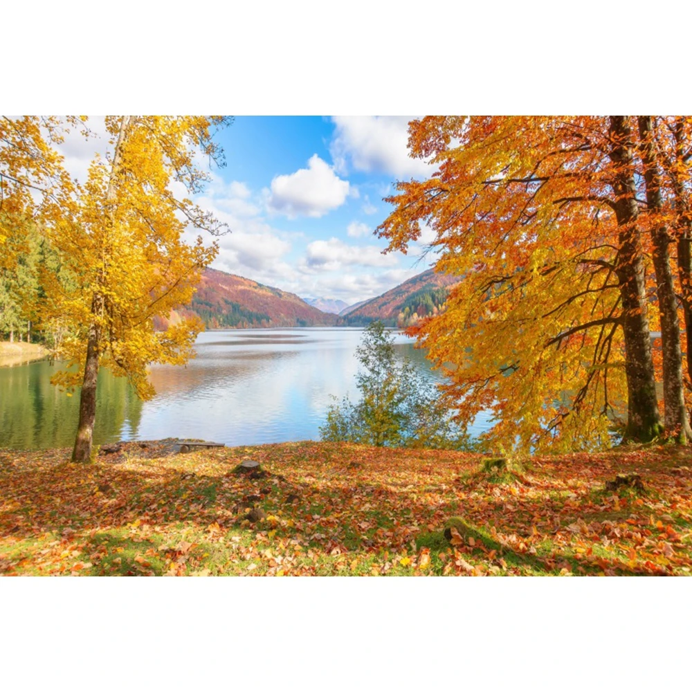 Autumn Photographic Backdrop Pumpkin Apples Grapes Maple Natural Landscape Family Thanksgiving Party Portrait Photo Background