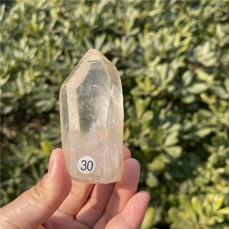 Clear Lemurian Seed Quartz Natural Point Cluster Crystal Rough Healing