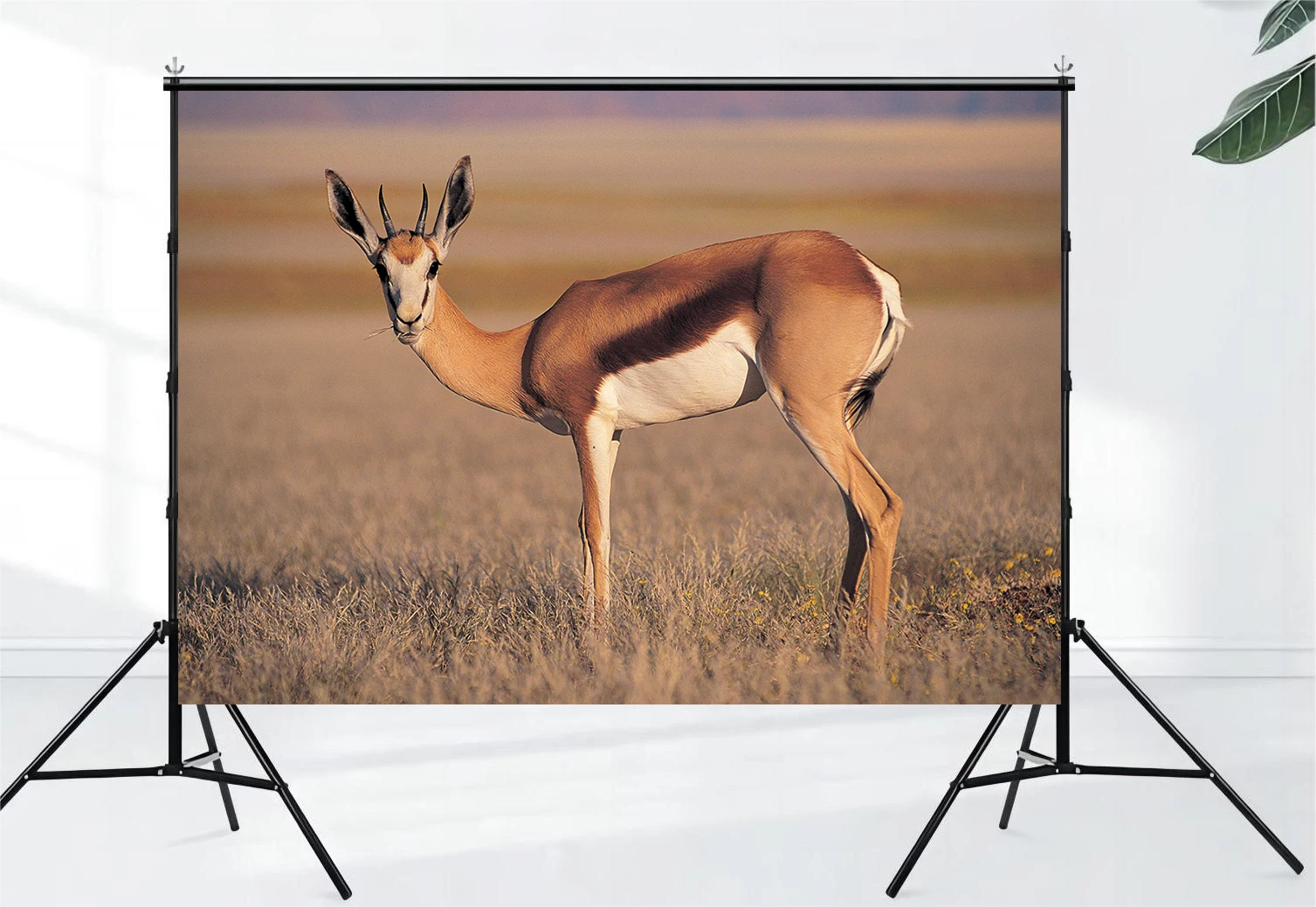 African Jungle Animal Antelope Background Tropical African Forest Jungle Hunting Scenery Home Living Room Decoration