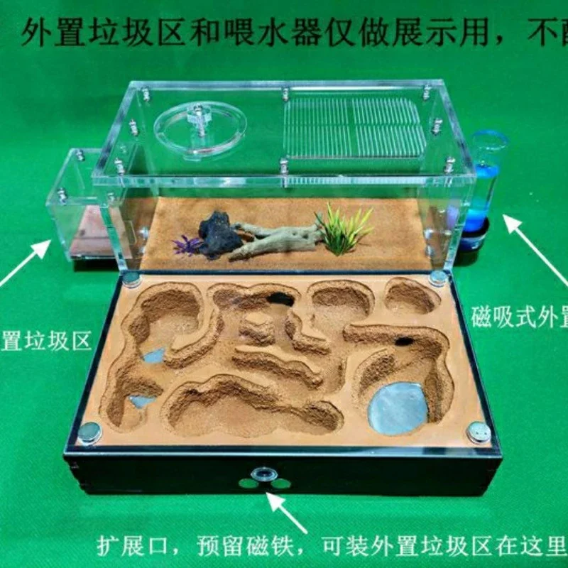 Ant Castle, Twin Water Towers, Pet Ant Workshop, Farm, Long term Breeding Ant Friends Choose It