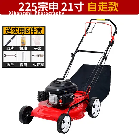 Variant: 12