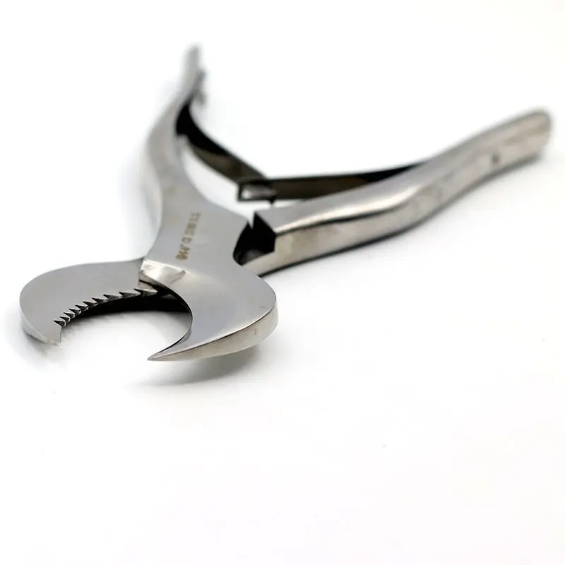 Dental Plaster Scissors Plaster Forceps Oral Equipment Stainless Steel Durable Large Small Dental Lab Technician Instruments