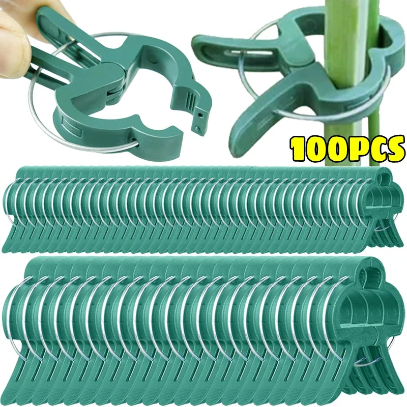Plant Fixed Clips Reusable Greenhouse Bracket for Fixing Stems of Flower Vine Vegetables Tomatoes Fastener Garden Supplies