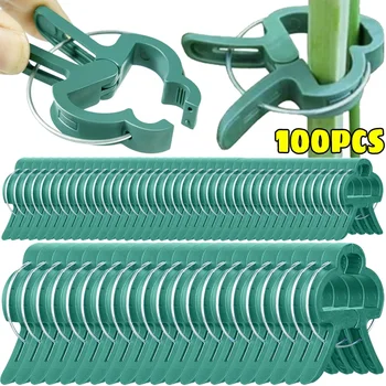 Plant Fixed Clips Reusable Greenhouse Bracket forFixing Stems of Flower Vine Vegetables Tomatoes Fastener Garden Supplies 1