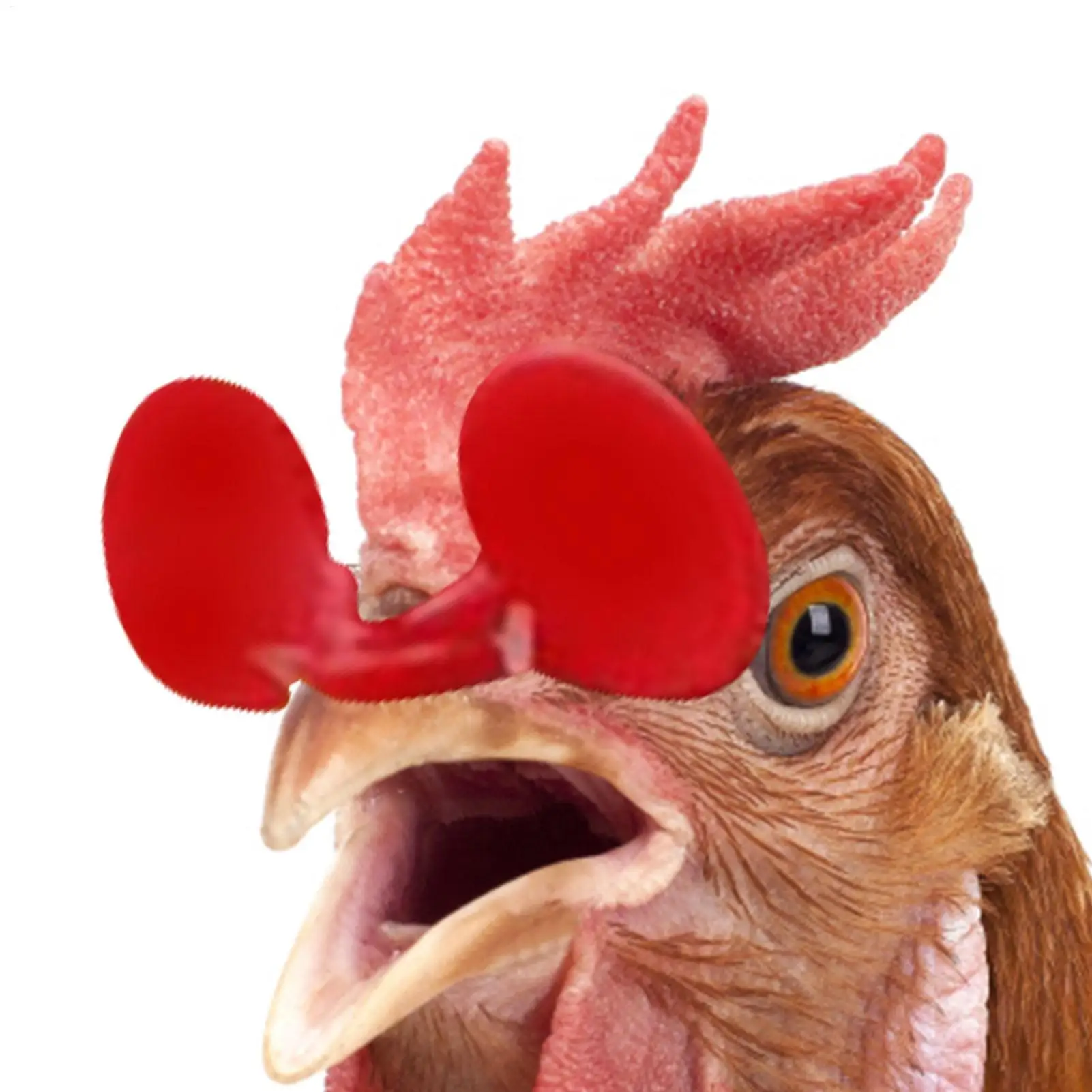 

60 Pieces Pinless Chicken Anti Pecking Pinless Chicken Supplies With Bolt Anti-fight Pheasant Poultry Spectacles Blinders