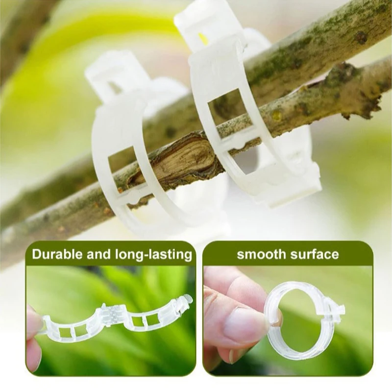 500PCS Plant Clips Supports Reusable Plastic Connects Fixing Vine Tomato Stem Grafting Vegetable Plants Orchard and Garden Tools