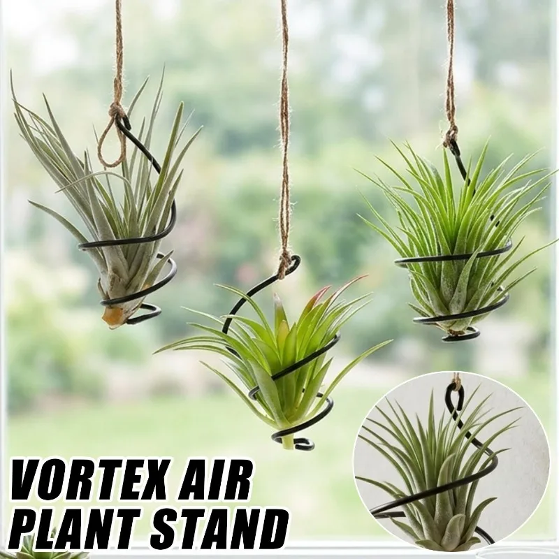 Hanging Air Plant Holder Spiral Wire Stand Tillandsia Display Geometric Rust Resistant Indoor Garden Decor with Hemp 2M Rope