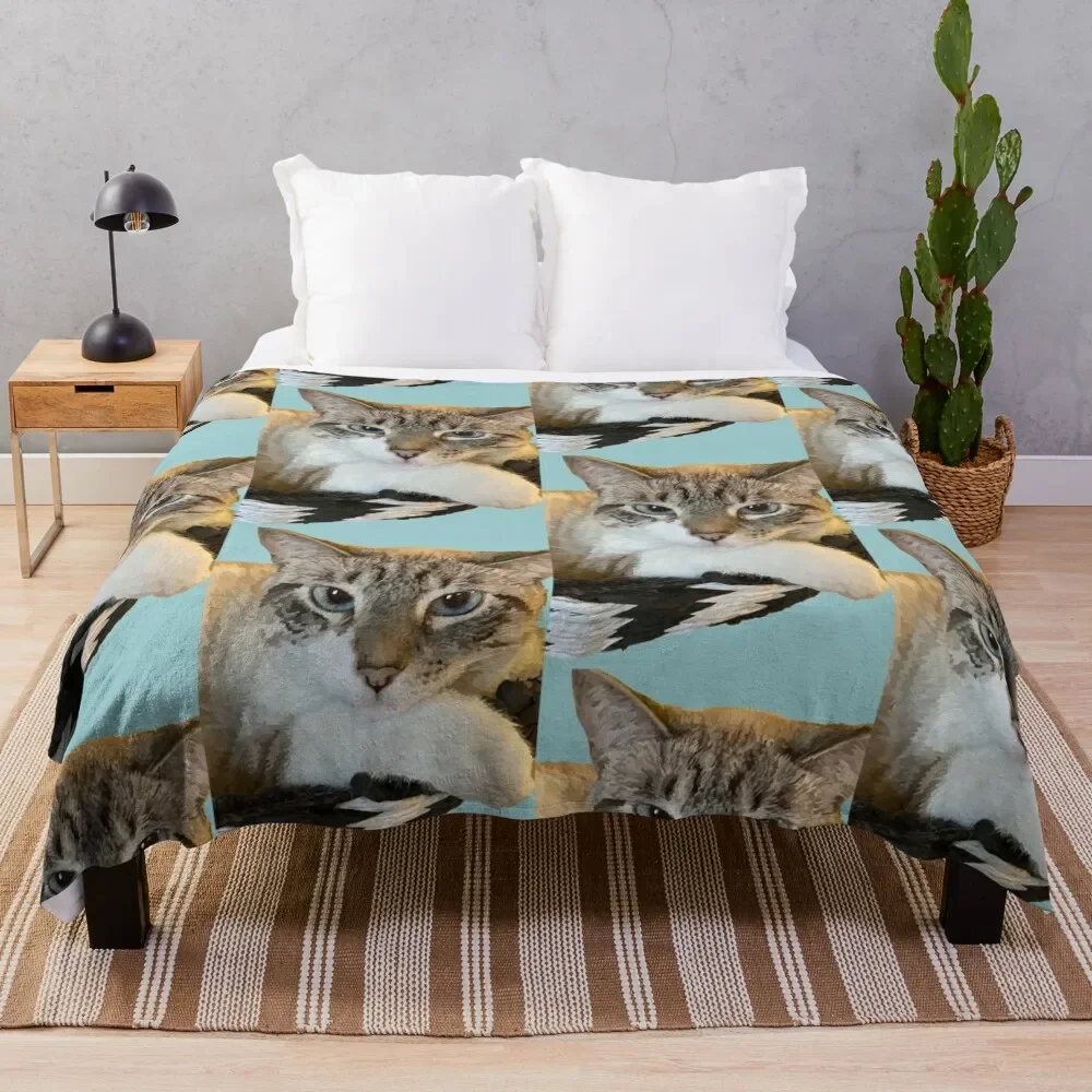 

Cat in a Basket Throw Blanket For Decorative Sofa valentine gift ideas Luxury St Designers Blankets