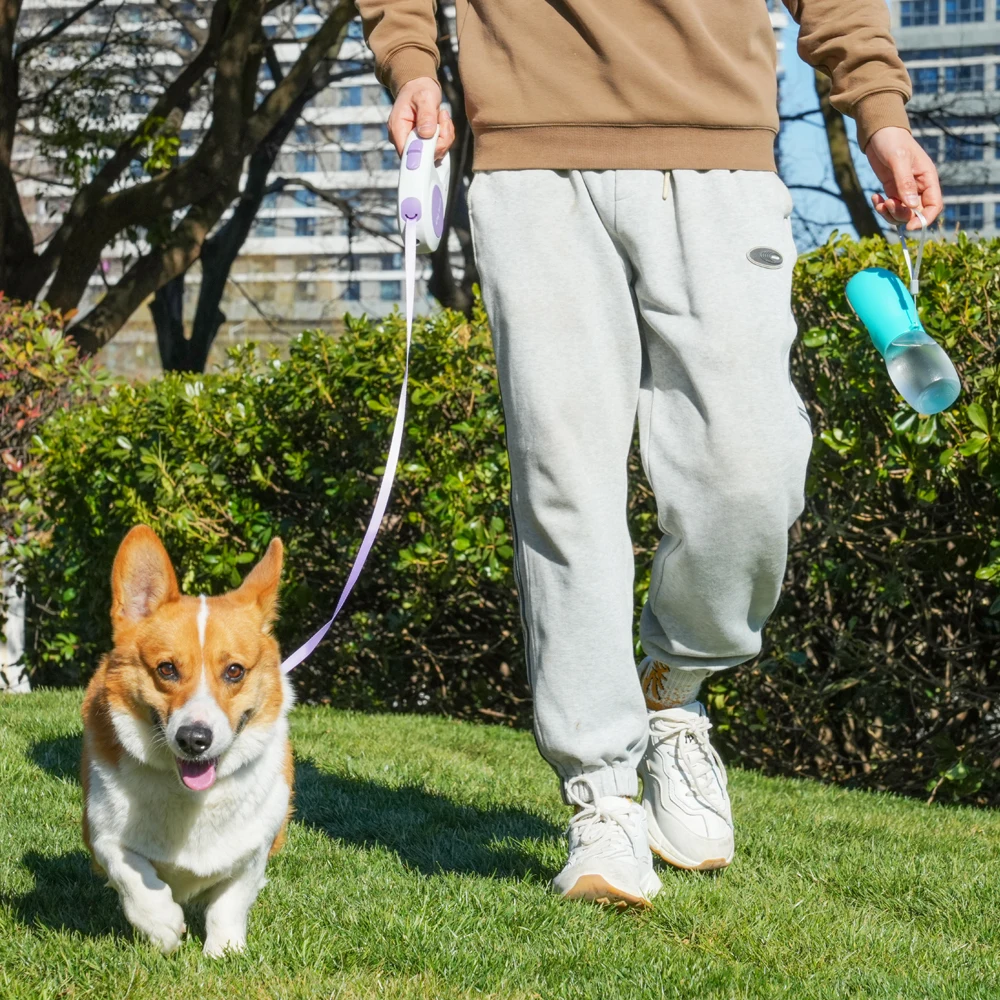 300ml Pet Dog Water Bottle For Small Large Dogs Cat Hiking Portable Outdoor Leakproof Drinking Bowls Chihuahua Bulldog Supplies