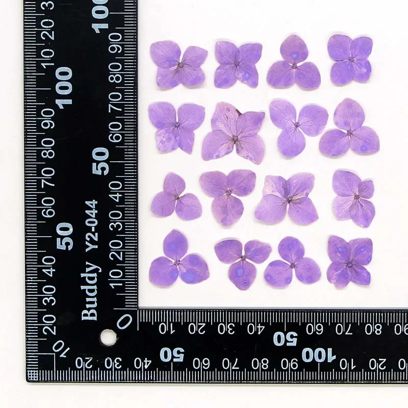 1.5~2.5CM/24PCS Real Natural Dried Pressed Hydrangea Flower Head,Dry Press Flowers Petals For Epoxy Resin Jewellery,Phone Case