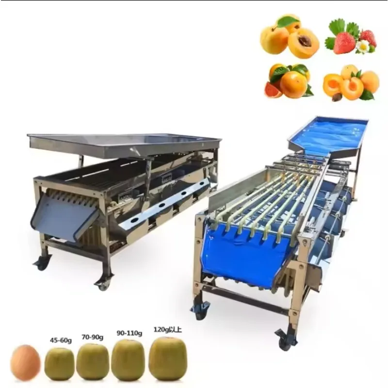 Potatoes Garlic Cherry Plum Dates Cashew Pineapple Sorter Sorting Grading Machine for Vegetable Fruit