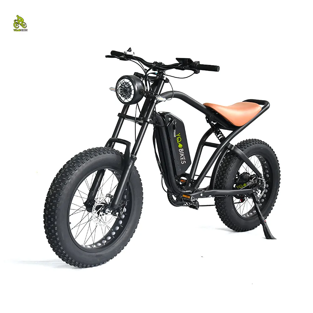 48V1000W 20*4.0 inch Vintage Retro Women Men 48V 20AH lithium Battery City Fat Snow Beach Electric Mountain Bike