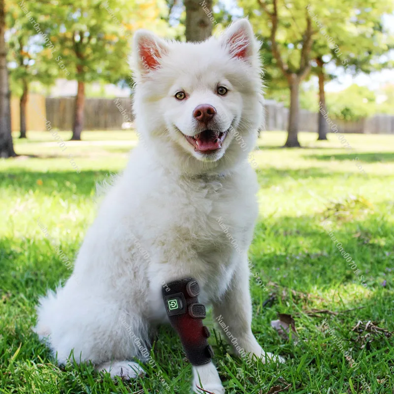 New Pet Therapy Device with Timer Portable Wound Healing Tool for Dog Cat Injury Fracture Recovery