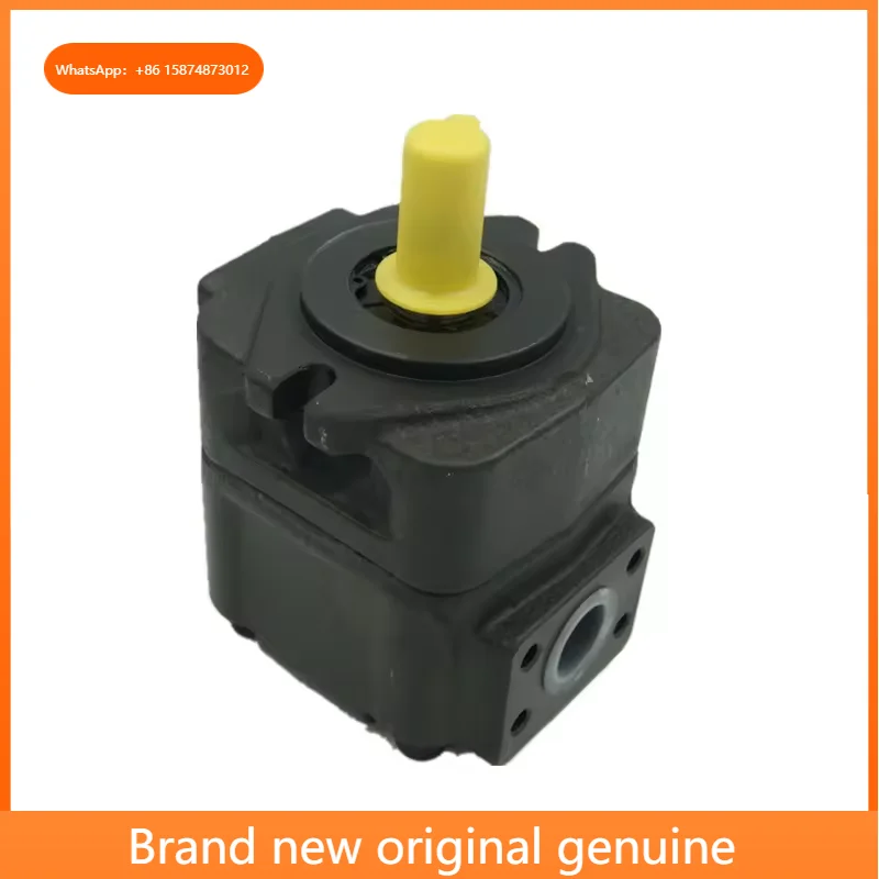 Hot sales DVQ25 oil pump series DVQ25-47-F-RAA-01 DVQ25-52-F-RAA-01 Hydraulic vane pump