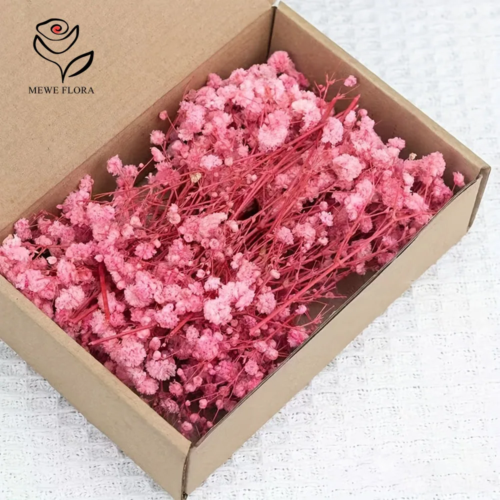 100 فرع صغير زهور تنفس الطفل المجففة لصنع البطاقات Crafts بها بنفسك الحرف باقة جيبسوفيلا الصغيرة ديكور المنزل طاولة الزفاف المزهريات