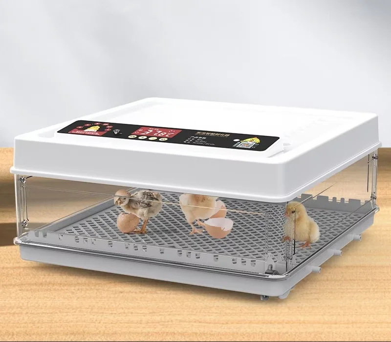 

Небольшая автоматическая и доступная инкубационная машина с инкубатором для яиц с высокой скоростью инкубации