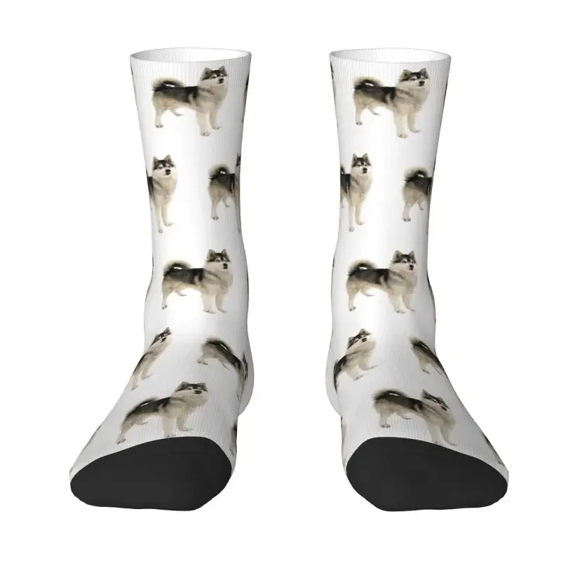 

Siberian Husky Dog Men Women Crew Socks Unisex Funny Alaskan Malamute Spring Summer Autumn Winter Dress Socks