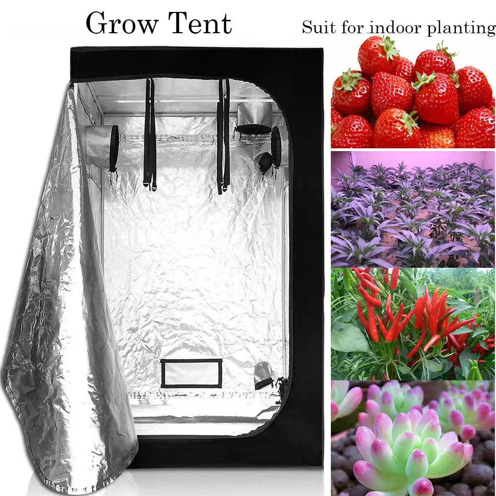 Indoor Hydroponics Grow Tent, Plant Tent, Growing Room, Greenhouse, Growbox 80X80X160cm