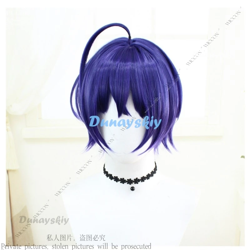 Zenless Zone Zero Anby Demara Nicole Demara Soldier 11 Nekomiya Mana Ellen Joe Rina Alexandrina Koleda Belobog Cosplay Wig