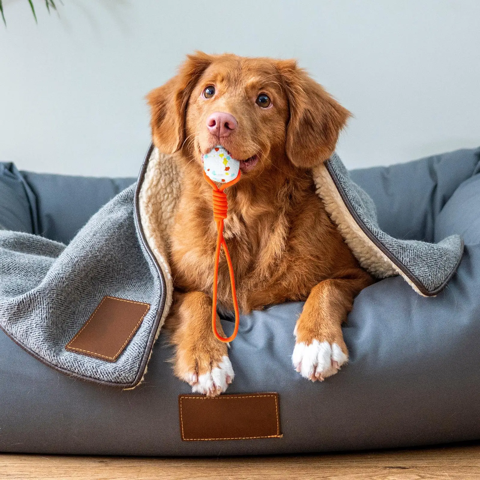 Dog Ball on a Rope, Dog Rope Toy Ball for Aggressive Chewers, Interactive Dog Rope Ball for Training Dog