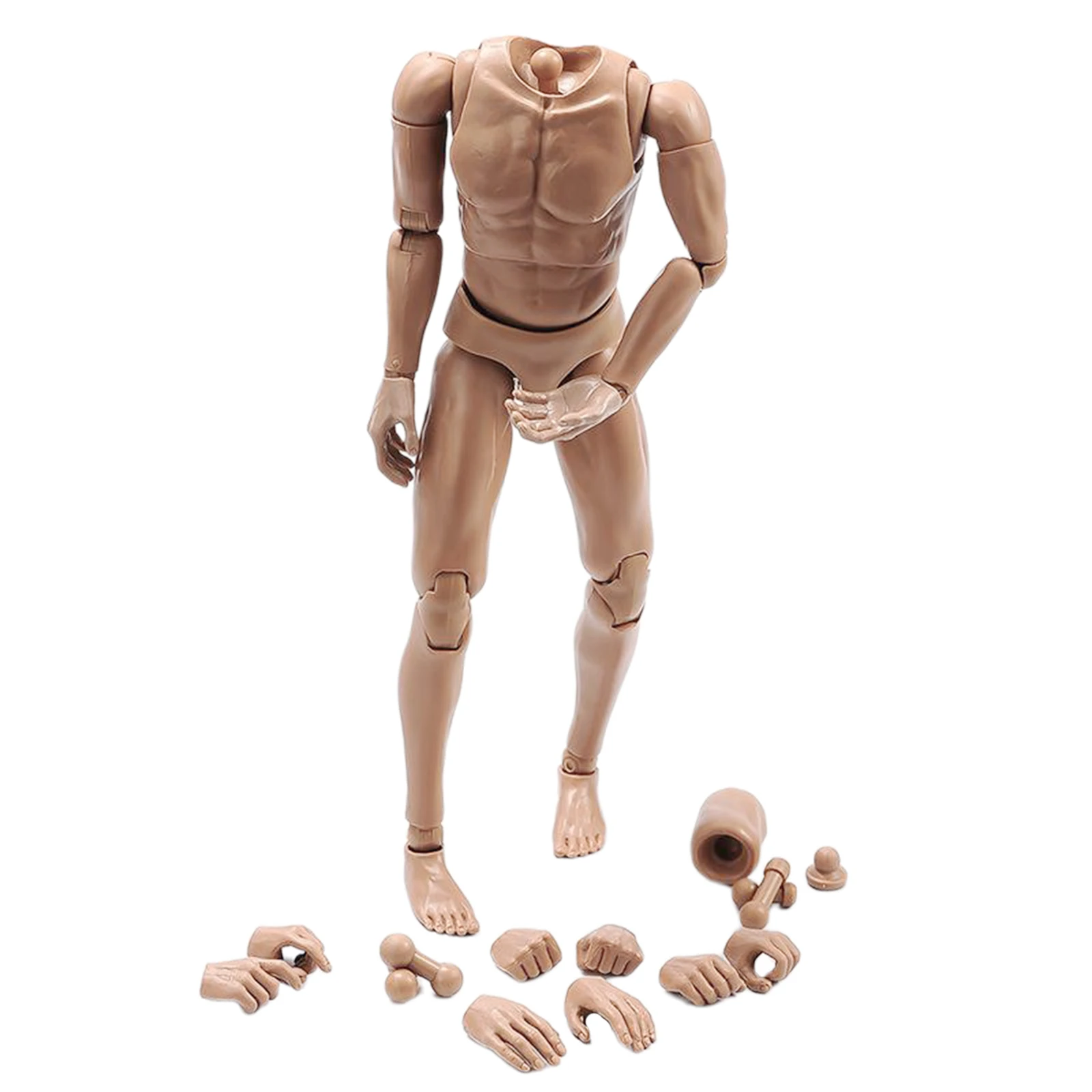 1/6 Realistic Male Body With 28 Movement Joints Muscular Model Seamless Narrow Shoulders with Neck Action Jointed-Figure For DIY