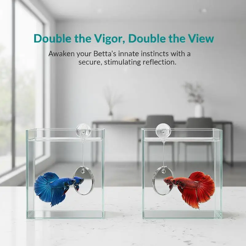 Betta Fish Training Mirror Double Sided Smooth Edge Suction Cup Mirror Aquarium Tank Decoration