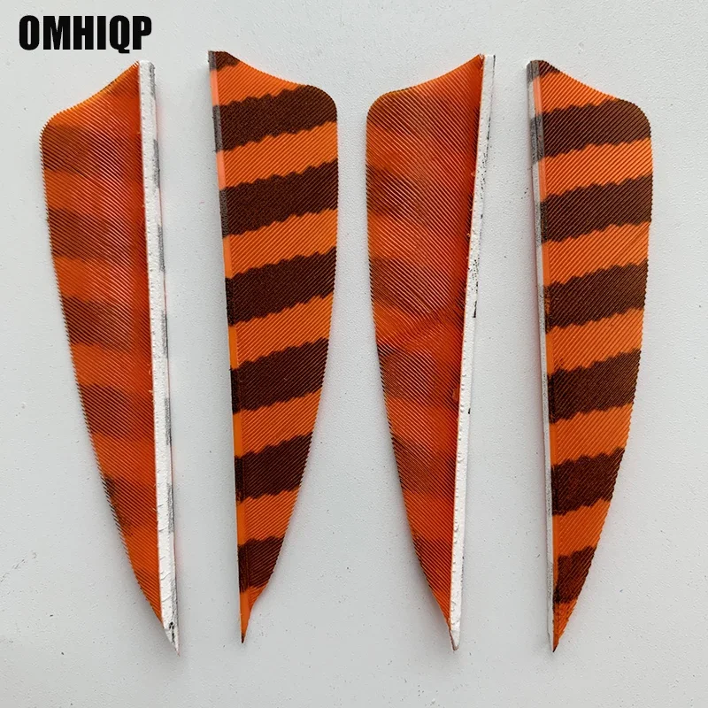 50 buah 3 inci Turki panah bulu perisai memotong berburu panahan Fletching Striped Fletches memanah aksesoris