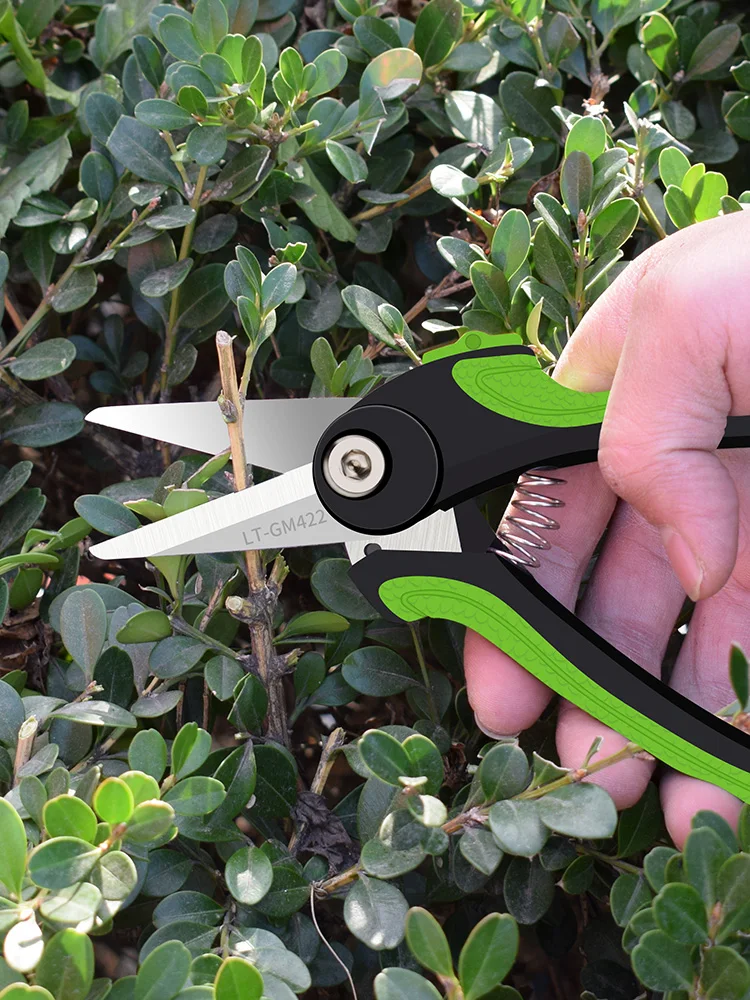 Leta 7.5-inch fruit pruning shears, hand-held straight blade pruning shears