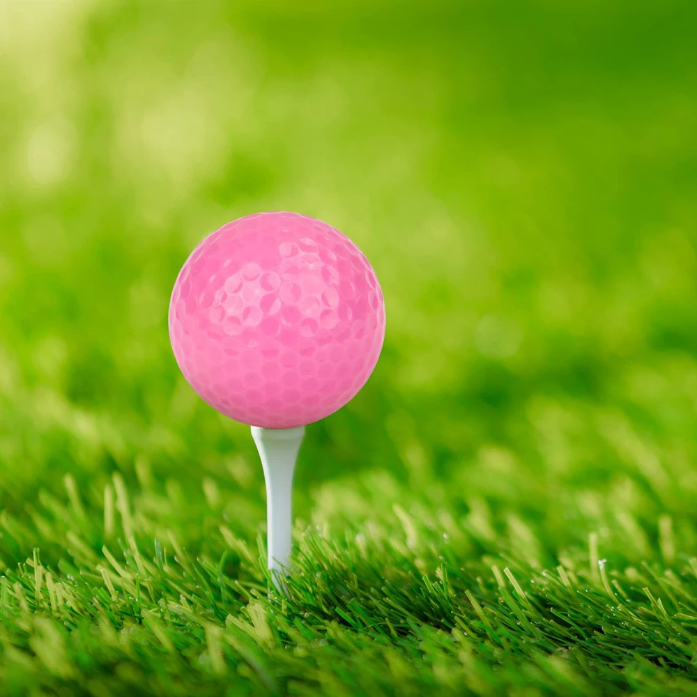 10pcs/bag Golf Balls 2-3 layers Game ball professional high quality for Golfer Golf Products lovely Gift