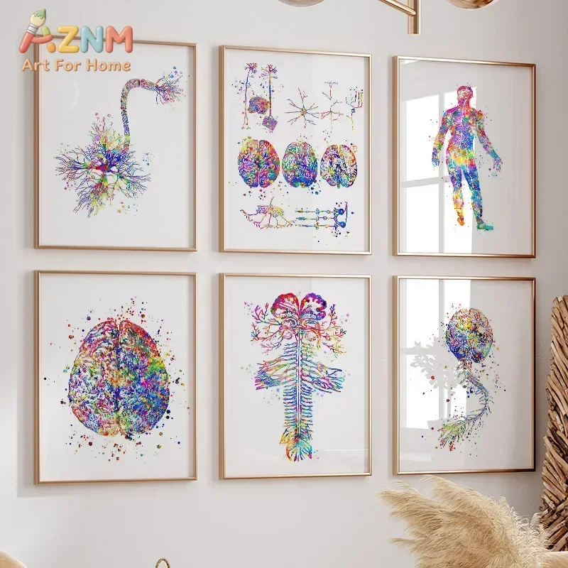 AZNM Human Nervous System Brain Anatomy Canvas Poster Colorful Medical Art Print Clinic Office Home Decor Unframed Painting