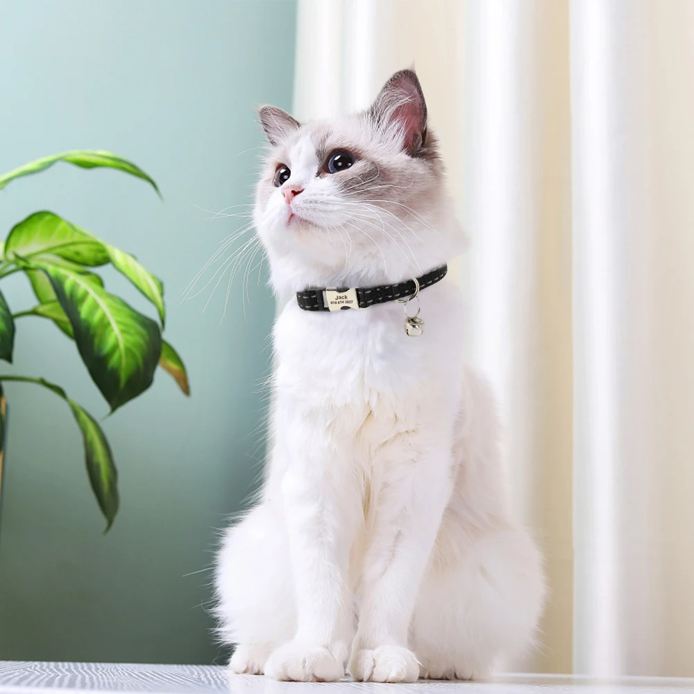 Eingraviert Individuelles Katze Kragen Reflektierende Kätzchen Welpen Halsbänder mit Glocke Personalisierte Pet Katzen Kragen Halskette Zubehör 1cm Breite – Detail 20