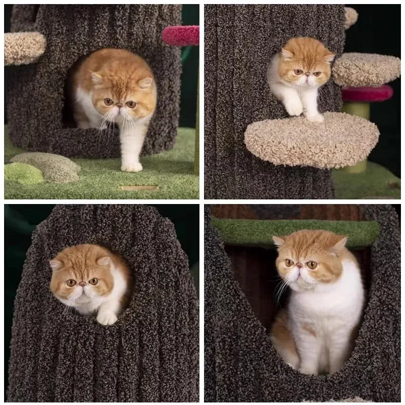 Large cat tree cat climbing frame simulation tree hole cat house integrated cat nest
