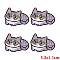 PE17160CT